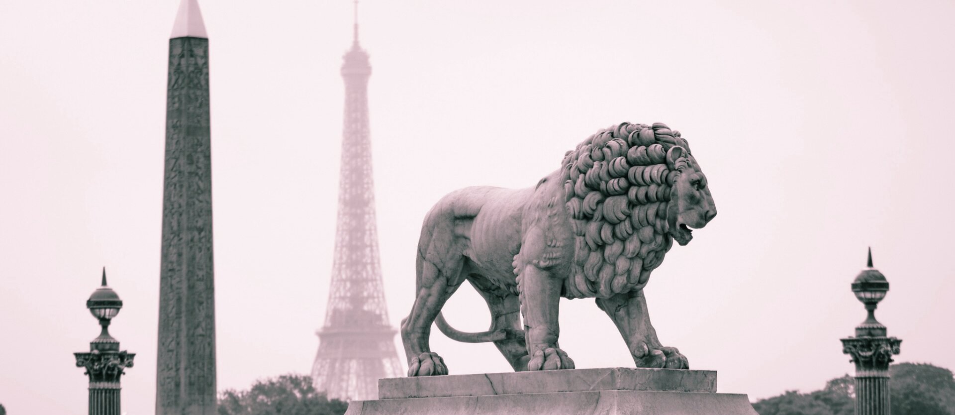 Lions statuse